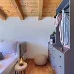 House Ana